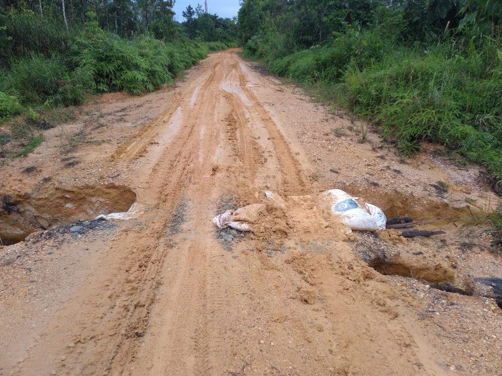 Respons Keluhan Masyarakat, Bupati Berau Instruksikan PT Hutan Sanggam untuk Perbaiki Jalan Siduung Indah