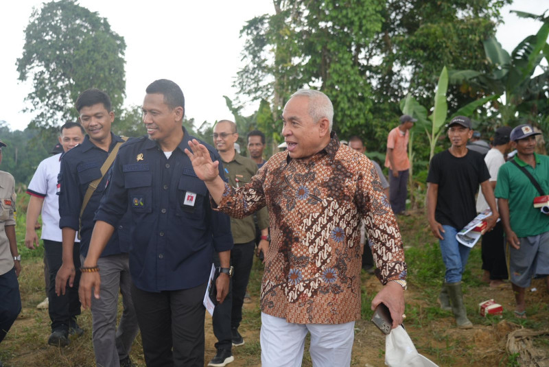 Dorong Masyarakat Ciptakan Perkebunan yang Berkelanjutan